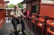 Full-Day Accessible Tour of Tokyo for Wheelchair Users