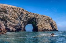 Ballestas Islands and Paracas Reserve from San Martin Port