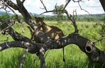 3-days In Mikumi And Udzungwa Mountain National Parks 