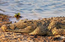 5 Days Tanzania Big Five Camping | Lodge Safari