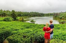 Wild South: Full-Day tour incl Rhumerie St Aubin, Bois cheri Tea factory & Lunch