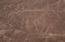 Paracas Shore Excursion: Nazca Lines Tour