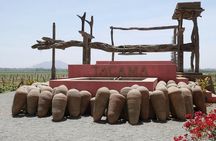 Private Tour to Huacachina from Paracas