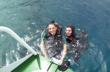 Try Scuba Diving! - Crikvenica/ Krk island
