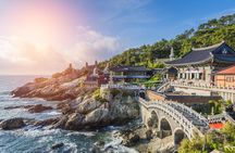 Full Day Private Busan Highlight Tour with Licensed Guide
