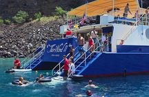 Kealakekua Bay Afternoon Snorkel: Family Fun on the Kona Coast