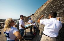 Tour Guide per Hour (Minimum 3 hours)