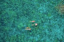 Kealakekua Bay Afternoon Snorkel: Family Fun on the Kona Coast