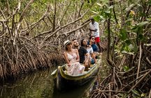 Shore Excursion Mangroves tour