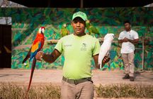 Tour al Aviario Nacional