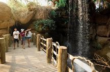 Tour al Aviario Nacional