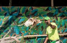 Tour al Aviario Nacional