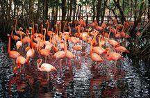 Aviario Nacional Including Playa Blanca Shared Tour