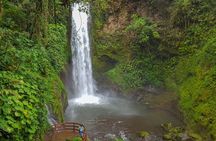 Super Combo Tour: Waterfalls Gardens + Coffee Tour + Poás Volcano