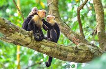 Private Sightseeing Tour from SJO to Manuel Antonio National Park