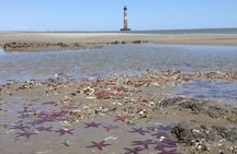 Private Dolphin Watch, Lighthouse and Ecological Boat Tours