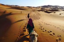 2 Days Tour From Fes To Marrakech Via Merzouga Desert