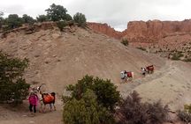 4-hour Llama Trek with Lunch in Scenic Capitol Reef