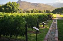 Private Cape Winelands Ful Day Ultra Flexible Guided Tour.