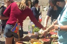 Small-Group Cajón del Maipo Full-Day Tour and Picnic