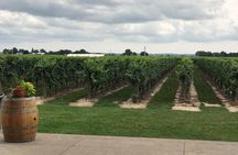 Afternoon Wine, Beer and Charcuterie Tour in Niagara-on-the-Lake