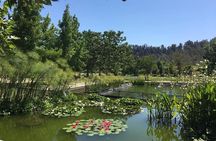 Private Half Day Tour in Santiago