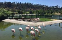 Private Half Day Tour in Santiago