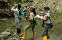 Bird Watching Tours with Sandra Plúa - Manabi, Ecuador