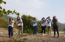 Bird Watching Tours with Sandra Plúa - Manabi, Ecuador