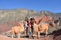 Purmamarca Walk with Llamas