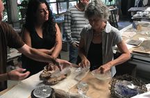 Art tour through artists' workshops around San Miguel de Allende