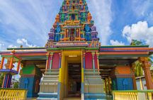 Vuda Lookout, Vesisei Village, Market, Temple & Garden of Sleeping Giant Tour