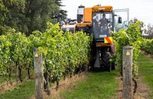 Small Group - Hawke's Bay - Napier Winery Tour - 5.5 hours