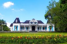 Full Day Guided Tea Route Mauritius: Including Lunch