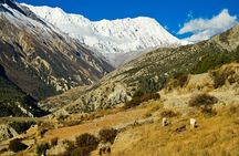 17 Days Adventurous Annapurna Tilicho Pass Trekking