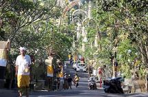 Ubud Eco Culture Cycling Exploration