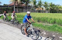 Ubud Eco Culture Cycling Exploration