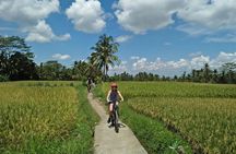 Ubud Eco Culture Cycling Exploration