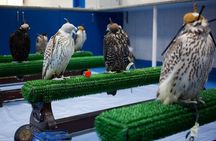 Falcon Hospital Tour