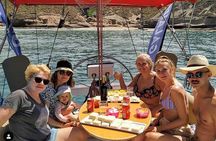 Whale and Dolphin Small Group Sailing from Tenerife South