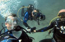 Double Shore Dive (certified divers)