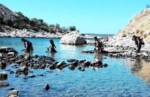 Double Shore Dive (certified divers)
