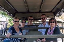 Kruger Park Safari 
