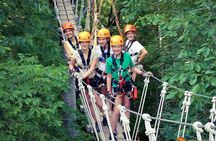 Fully Guided Zipline Canopy Tour through Kentucky River Palisades 
