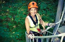 Fully Guided Zipline Canopy Tour through Kentucky River Palisades 