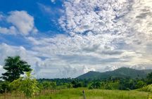 Adventure Bundle: Monkeyland, Ziplines & Buggies Punta Cana