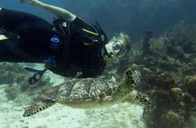 Private Discover Scuba Diving 