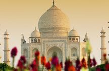  From Delhi: Sunrise visit to Taj Mahal along with Fatehpur Sikri
