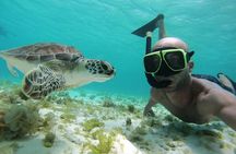 Snorkel Tour in Curacao