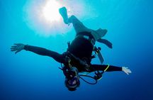 2 Tank Guided Shore Dive in Curacao